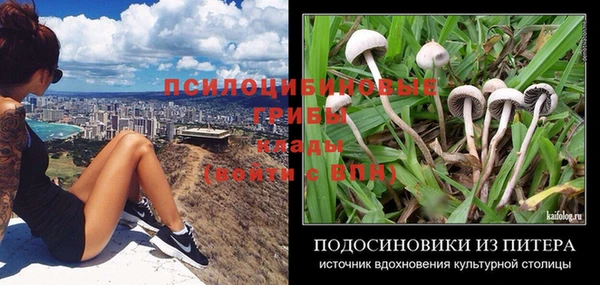 ПСИЛОЦИБИНОВЫЕ ГРИБЫ Алзамай