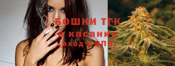 ПСИЛОЦИБИНОВЫЕ ГРИБЫ Алзамай